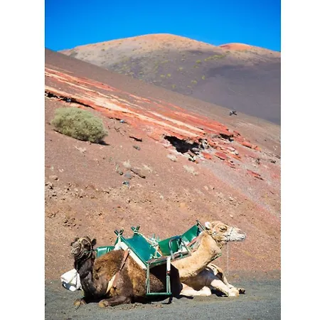 Julianne 4 Дом отдыха Пуэрто дель Кармен