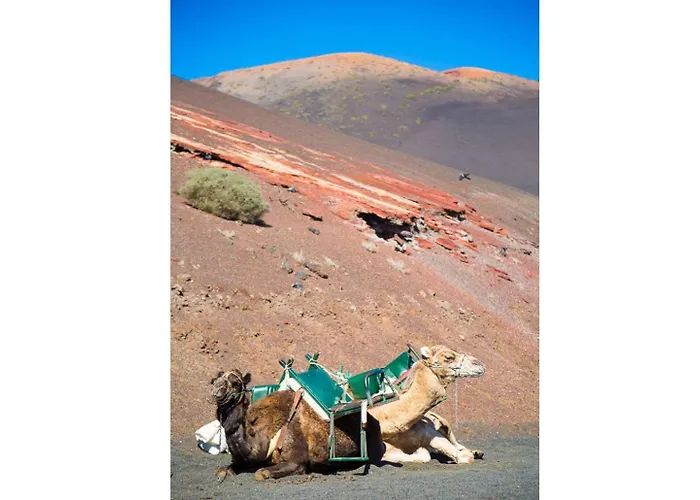 Julianne 4 Дом отдыха Пуэрто дель Кармен